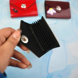 جاکارتی آکاردئونی آهنربایی هفتی ورنی