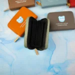 جاکارتی دورزیپ آکاردئونی پاکنی