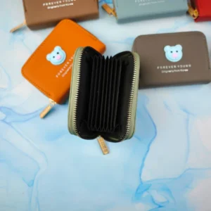 جاکارتی دورزیپ آکاردئونی پاکنی