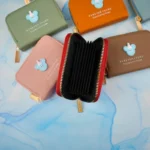 جاکارتی دورزیپ آکاردئونی پاکنی