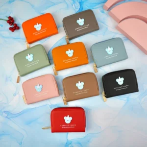 جاکارتی دورزیپ آکاردئونی پاکنی