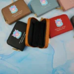 جاکارتی دورزیپ آکاردئونی پاکنی