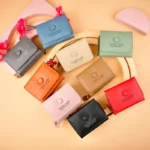 کیف پول پشت جاکارت آکاردئونی کوچک دخترانه