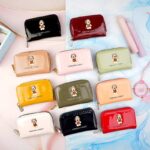 جاکارتی دورزیپ آکاردئونی ورنی سگ