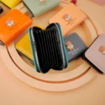 جاکارتی دور زیپ آکاردئونی رنگی خرس